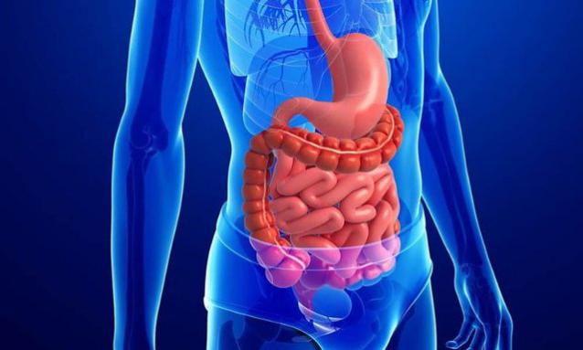 Dinh dưỡng lành mạnh giúp hệ tiêu hóa hoạt động trơn tru